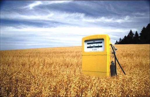 Coalición Clima pide al Gobierno que cese en sus políticas de apoyo a los agrocombustibles más impactantes