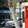 ADICAE exige mejor rentabilidad y soluciones a cláusulas abusivas